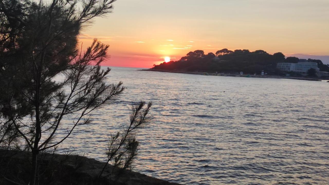 Parenzo Premium Apartment Poreč Kültér fotó